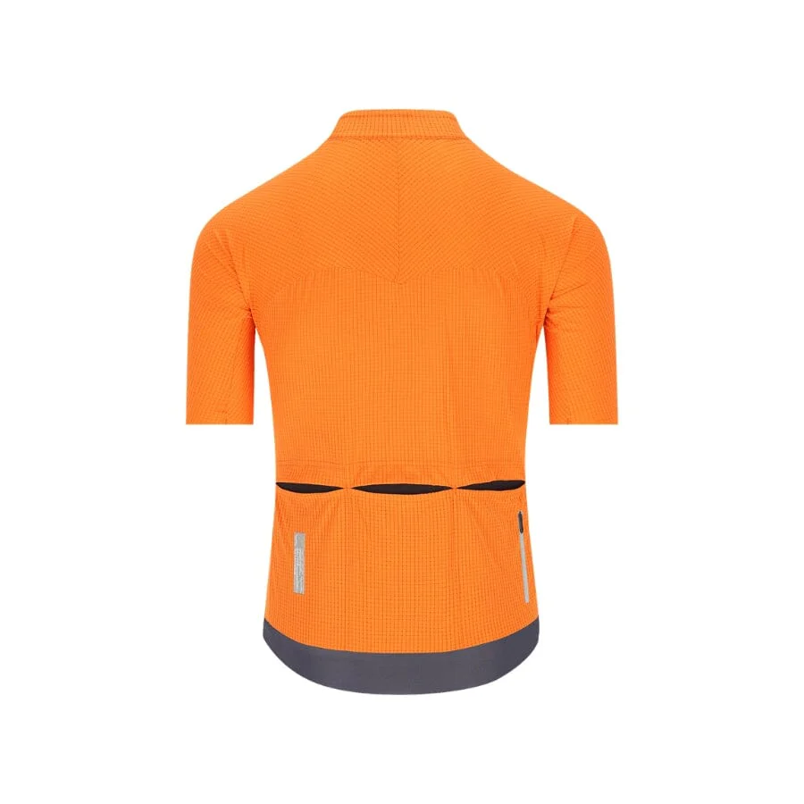 Q36.5 Dottore PRO Jersey - Image 2